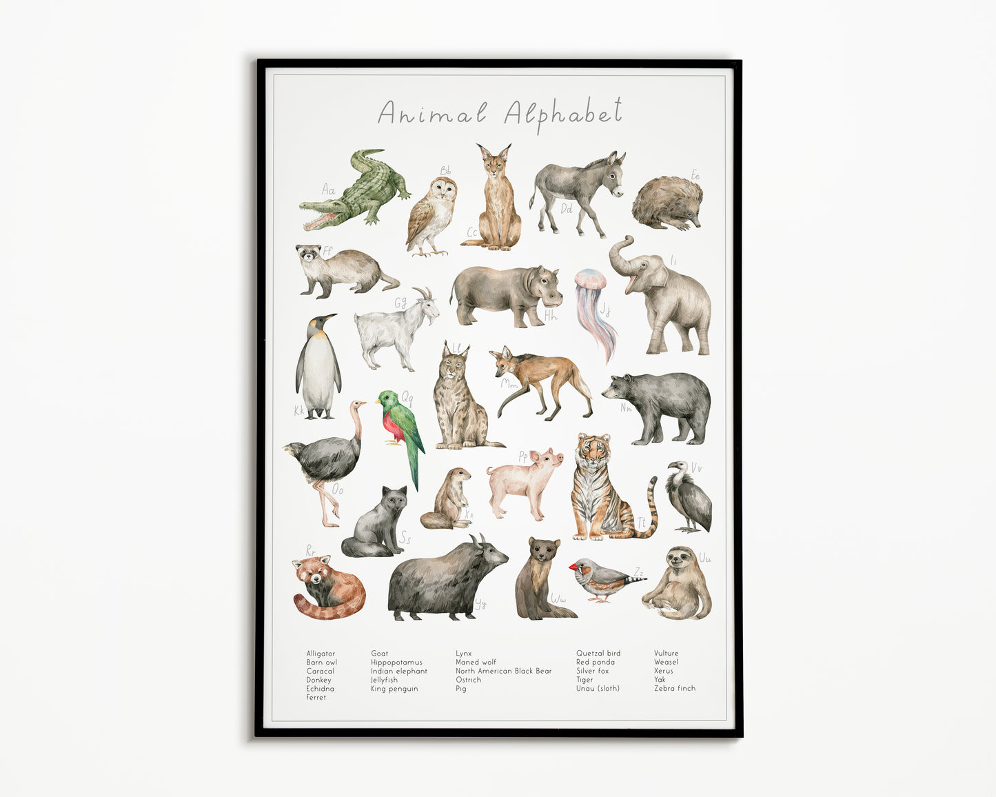 Animal Alphabet Poster