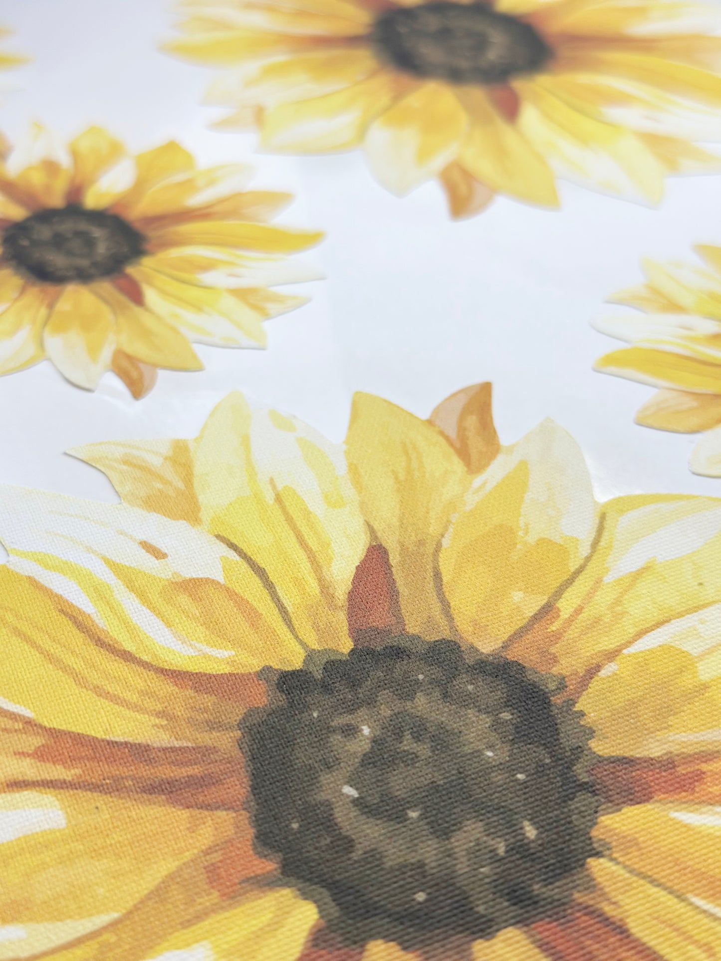 Girasoles