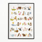 Colorful Educational Posters: Numbers and Alphabet