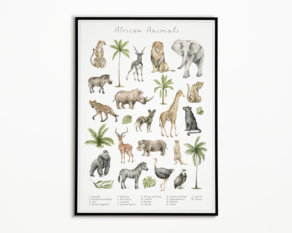 Animal Groups Collection Poster | NulaLunaCrafts