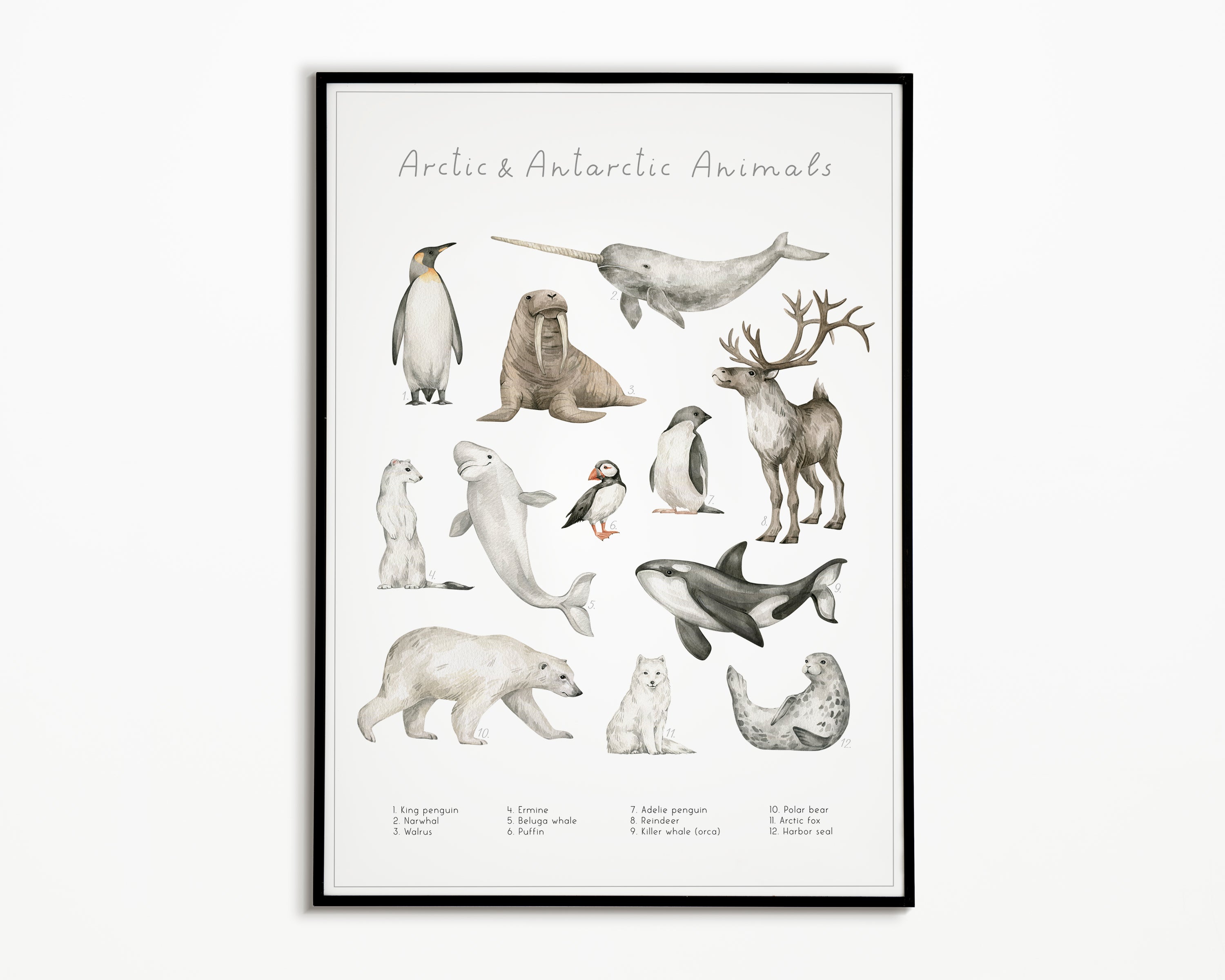 Animal Groups Collection Poster | NulaLunaCrafts
