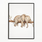 Animals on Branch