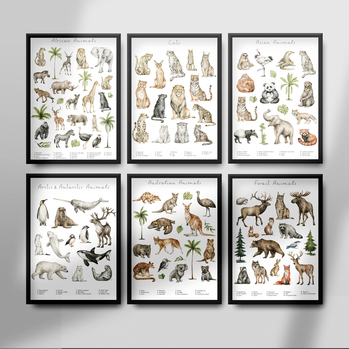 Animal Groups Collection Poster | NulaLunaCrafts